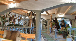 Rjavi medvedi in njihove lobanje z zobovjem. (Opomba: prikazana slika je dejanska sličica iz filma)