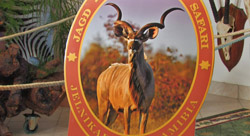 Skupina afriških antilop, žirafe, zebre in svinje bradavičarke z ogromnimi čekani.